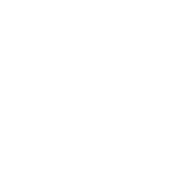 Electrolux logo wit