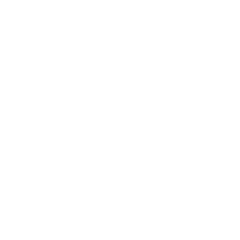 Logo Alto Shaam wit