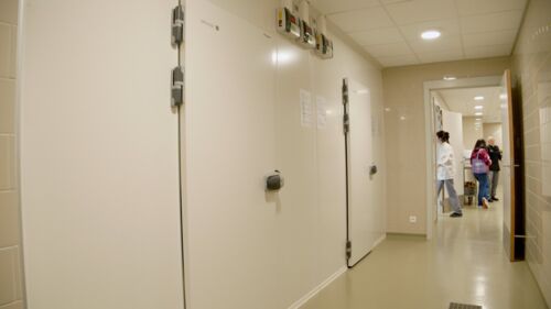 D&L Concepts - Leopoldkazerne Gent V1.00_00_25_00.Still012 D&L Concepts - Leopoldkazerne Gent V1.00_00_25_00.Still012